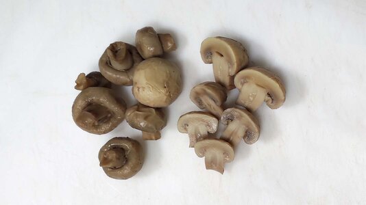 Funghi Champignon (cotti sottovuoto).jpg