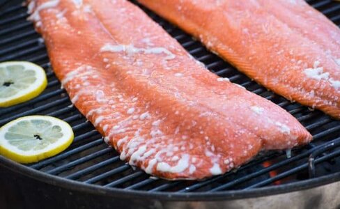 lisciviazione delle proteine del salmone.jpg lisciviazione delle proteine del salmone.jpg