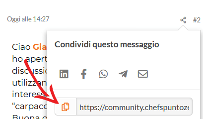 condividi singolo copia.png